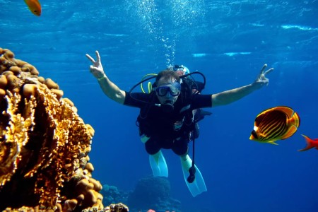 Bons Plans Villa Baie du Marin location gîtes chambres hôtes Martinique