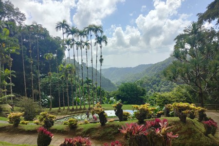 Bons Plans Villa Baie du Marin location gîtes chambres hôtes Martinique