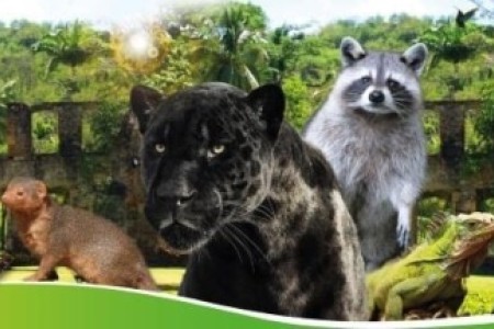 Bons Plans Villa Baie du Marin location gîtes chambres hôtes Martinique