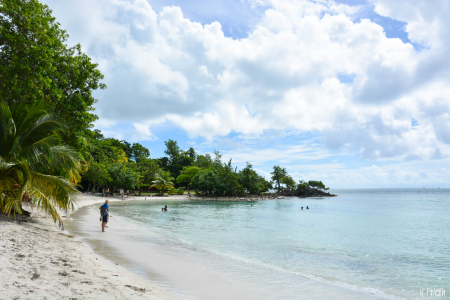 Bons Plans Villa Baie du Marin location gîtes chambres hôtes Martinique