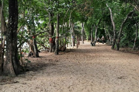 Bons Plans Villa Baie du Marin location gîtes chambres hôtes Martinique