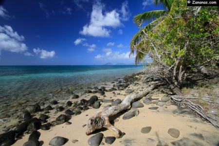 Bons Plans Villa Baie du Marin location gîtes chambres hôtes Martinique
